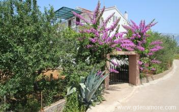 HVAR, Sucuraj: Sechs Personen f&uuml;r 66 Euro, Privatunterkunft im Ort Hvar, Kroatien